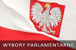 Miniaturka artykułu Wyniki wyborów parlamentarnych w gminie Kock